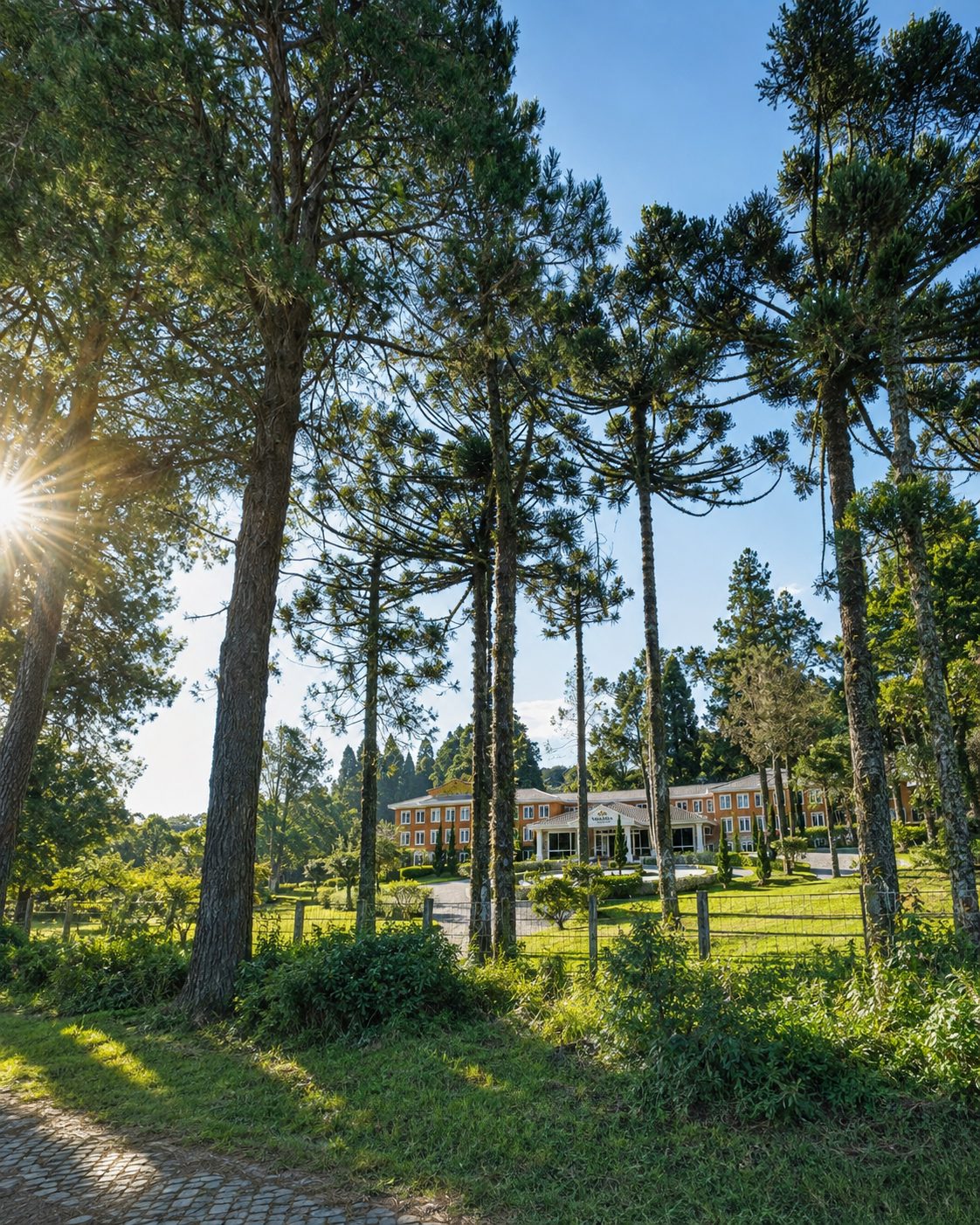 Fachada do Vallena Living e Care vista entre araucárias nativas da Serra Gaúcha, ao entardecer